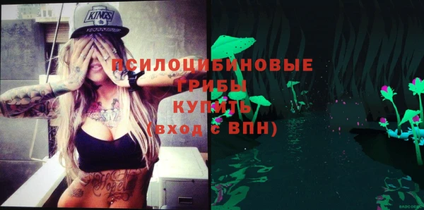 ALPHA-PVP Белокуриха